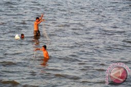 Jaring Ikan