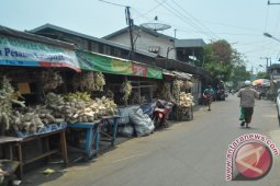 KAMPUNG KETUPAT