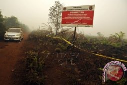200 hektare lahan pt wks terbakar