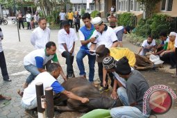 Pemkab Banjar Melaksanakan Ibadah Kurban
