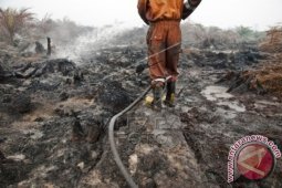 Peradi Jambi "class actions" perusahaan pelaku karhutla