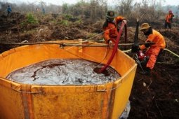 Lahan Gambut Kembali Terbakar