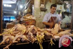 Harga daging ayam turun di Jambi