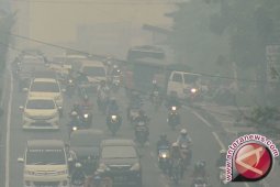 Pengusaha logistik rugi Rp6 miliar/hari kebakaran Sumatera