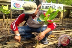Petani Binaan Indocement Tetap Berpenghasilan Meski Kemarau