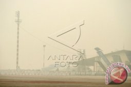 Presiden Joko Widodo Pantau Lahan Terbakar Di Tumbang Nusa