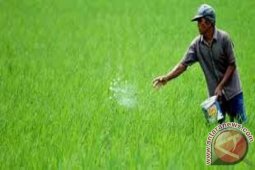 Nilai tukar petani Jambi turun 1,50 persen