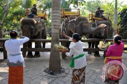 Tumpek Kandang di Kebun Binatang