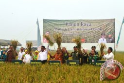 KEGIATAN TNI