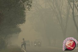 Komisi II DPR Akan Bentuk Panja Kabut Asap