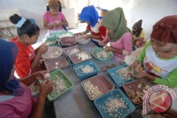 Harga Rajungan Turun