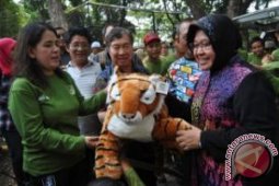 Hibah Harimau Ke KBS Untuk Perbaruan Genetik