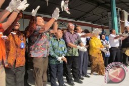 Peresmian Kereta Bergambar Cagar Biosfer "BTSA"