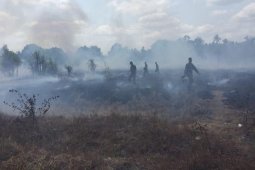 15 titik panas terpantau di Papua selatan