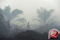 Dansatgas: 15.600 hektare lahan terbakar sudah dipadamkan