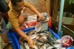 DKP Pangkalpinang Optimalkan Pengawasan Ikan Berformalin