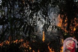 BPBD Extinguished Fire in Jambangan Mountain