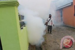 13 warga Rejang Lebong terjangkit DBD