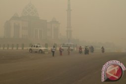 Asap Tebal Kembali Menyelimuti Balangan