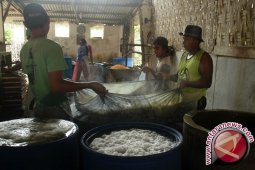 Limbah Pabrik Tahu di Pamekasan Sebabkan Penyakit Kulit