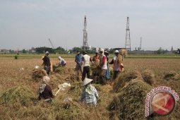 Bojonegoro Tetapkan UMK 2016 Rp1.142.000 Perbulan