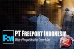 Angin segar untuk Freeport