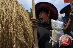 Pemda Agar Lindungi Produksi Petani Aceh