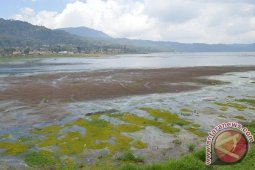 Petani Pancasari Resah Debit Air Danau Turun