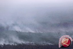 BMKG deteksi 238 titik panas di Sumatera