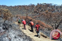 Pendaki terjebak api saat turun Gunung Lawu