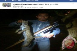 BKSDA Jatim Gagalkan Pengiriman Satwa Langka