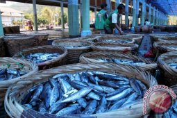 Harga Ikan Nelayan Jatuh