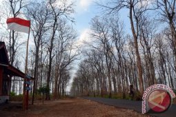 BPBD Bojonegoro Sarankan Perhutani Kurangi Penebangan Hutan