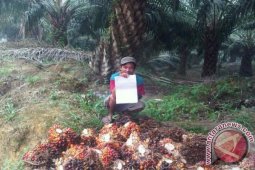 Petani Keluhkan Kebijakan PT MPE