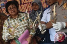 Menteri LHK Apresiasi Pembongkaran Perdagangan Tanduk Rusa