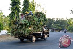 Kendaraan Bak Terbuka Mengangkut Orang