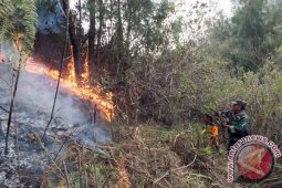 TNBTS Bersihkan Jalur Pendakian Semeru Pascakebakaran