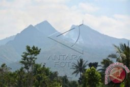 Basarnas-BPBD Jember Evakuasi Pendaki Terjebak Kebakaran Pegunungan Argopuro