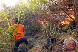 Kebakaran Gunung Semeru Meluas Capai 50 Ha