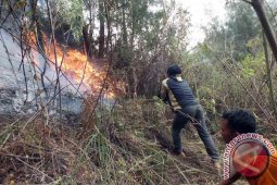 TNBTS: Kebakaran Hutan Gunung Semeru Dapat Dikendalikan