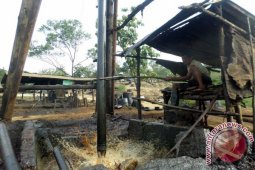 Pemkab Bojonegoro Laporkan Keberadaan "Trader" Minyak