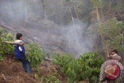 BMKG belum pastikan meteor jatuh di Bengkulu