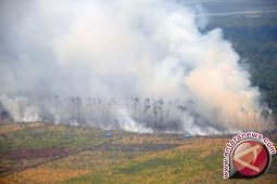 Tiga perusahaan asing disidik kasus pembakaran hutan
