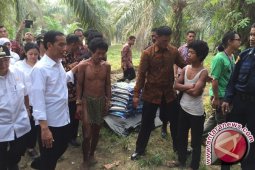 Jokowi, Presiden RI pertama kunjungi Suku Anak Dalam