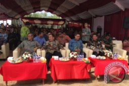 Ternak Sapi Bisnis Menjanjikan