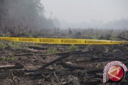 BNPB: 29 Personel Asing Bantu Operasi Pemadaman