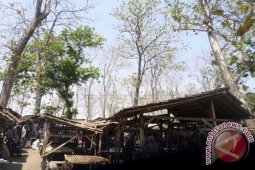 BPBD Bojonegoro Minta Camat Waspadai Awal Hujan