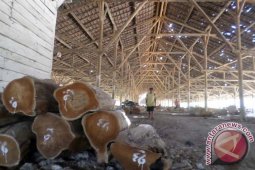 Disbudpar Bojonegoro Pindahkan Kayu Temuan 7 November