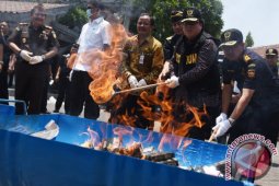 Musnakan Rokok Ilegal