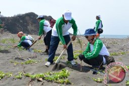 Penghijauan Pantai